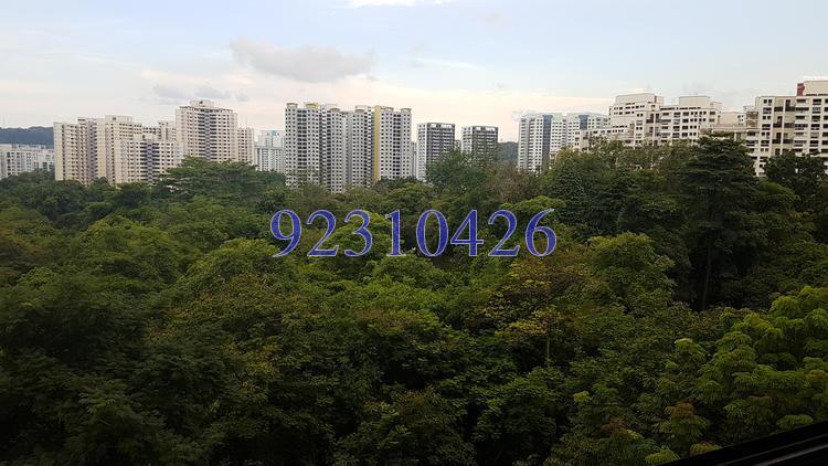 Blk 528 Jelapang Road (Bukit Panjang), HDB Executive #151989952